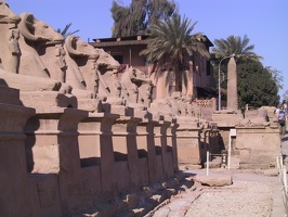 Egypte 0099