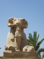 007 Egypte Louxor 20150501