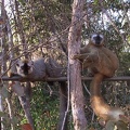 274_Madagascar-06-08-03.jpg