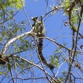 359 Madagascar-14-08-03
