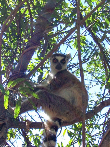 368_Madagascar.jpg