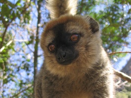 372 Madagascar-14-08-03