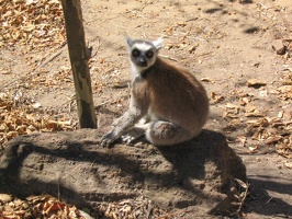 376 Madagascar-14-08-03