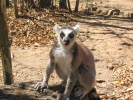 377 Madagascar-14-08-03