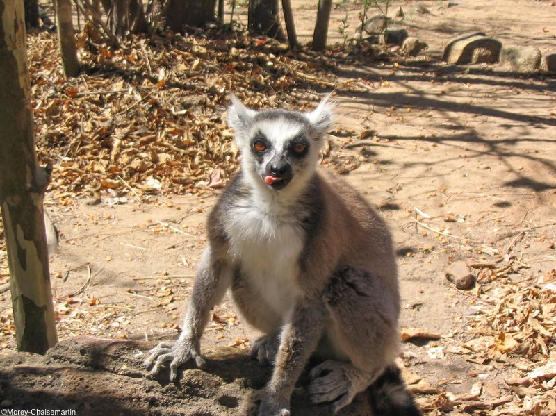 377_Madagascar-14-08-03.jpg