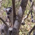 389_Madagascar-12-08-03.jpg
