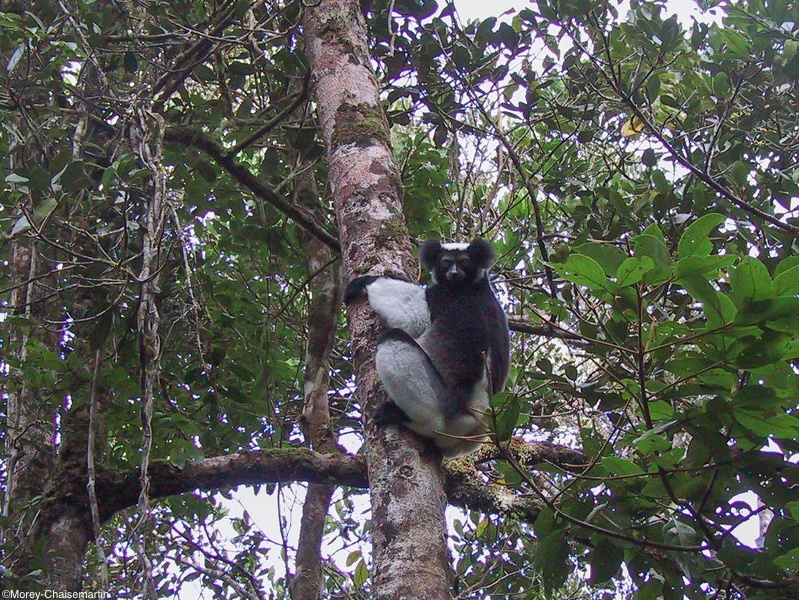 480_Madagascar-19-08-03.jpg