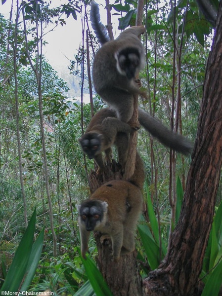 491_Madagascar.jpg