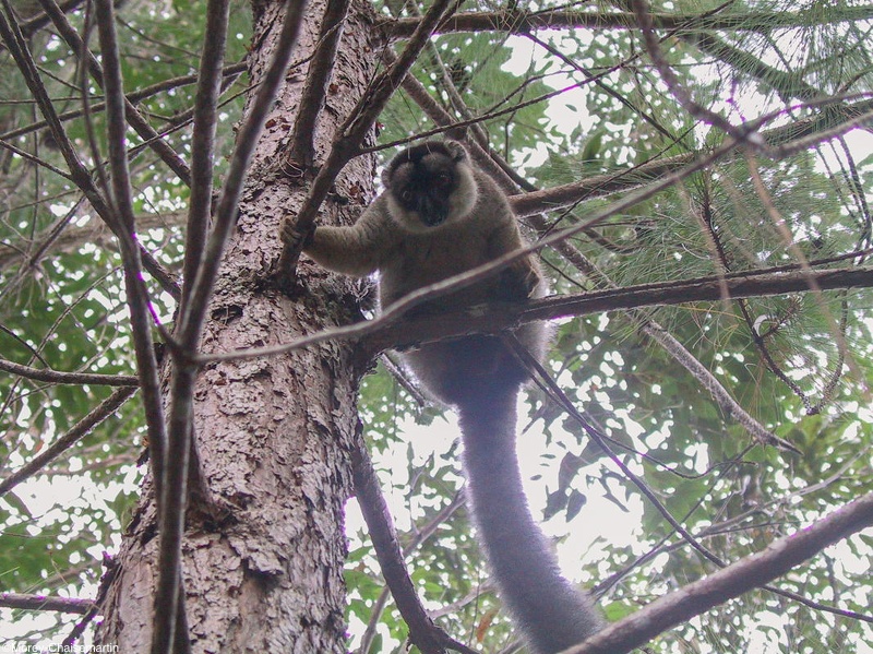 494_Madagascar-20-08-03.jpg