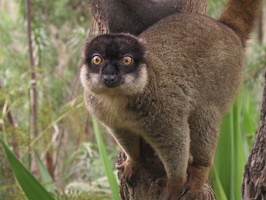 503 Madagascar-20-08-03