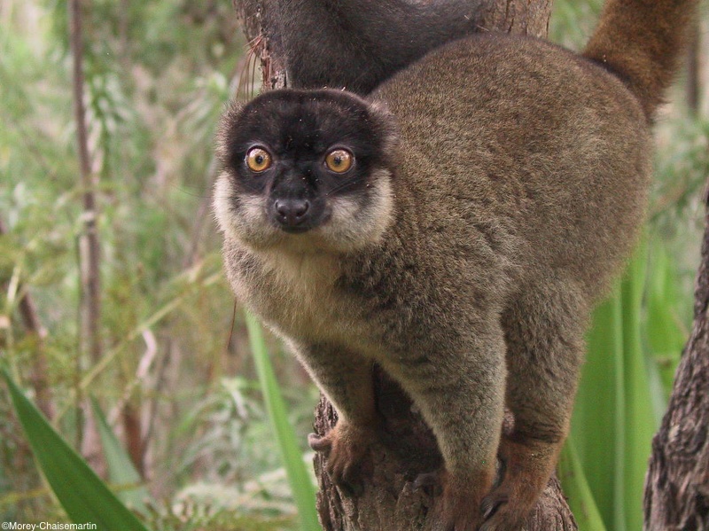 503_Madagascar-20-08-03.jpg