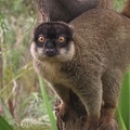 503 Madagascar-20-08-03