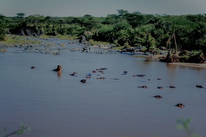 049 Tanzanie 1994