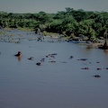 049 Tanzanie 1994