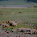 095 Tanzanie 1994