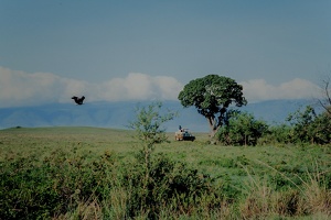 103 Tanzanie 1994