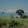 103 Tanzanie 1994