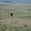 110 Tanzanie 1994