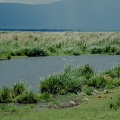 136 Tanzanie 1994