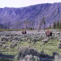 001-Yellowstone.jpg