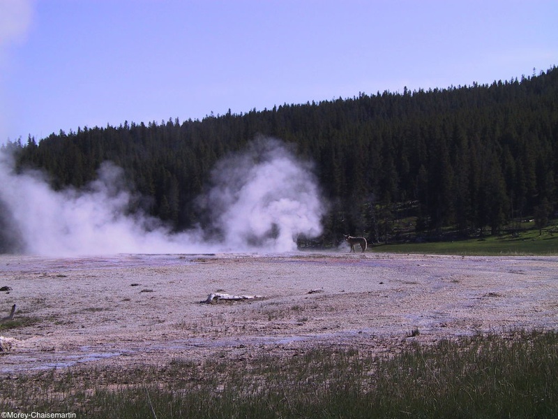 021-Yellowstone.jpg