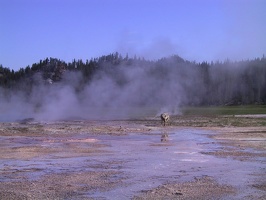 022-Yellowstone