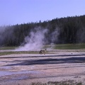 023-Yellowstone.jpg