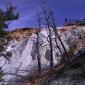 124-Yellowstone.jpg