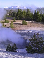 155-Yellowstone