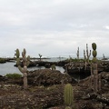 082_Galapagos_050112.jpg