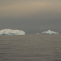 179 Antarctique 14.01.22 07.22.05
