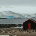 542 Antarctique 17.01.22 15.50.16