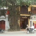 228 Vietnam 25-04-2010