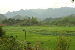 607 Vietnam 02-05-2010