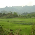 607 Vietnam 02-05-2010