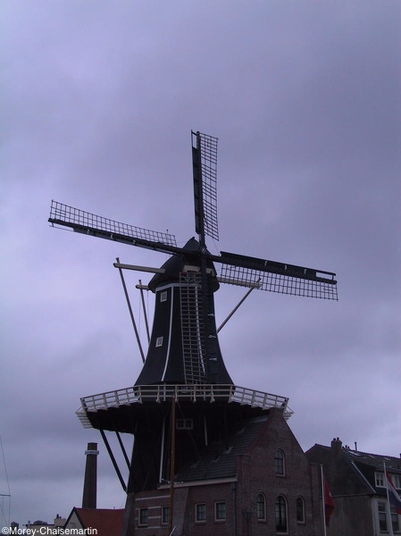 Haarlem_0015.jpg