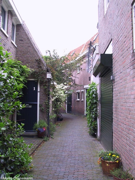 Haarlem_0019.jpg