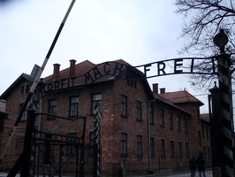 81 Auschwitz