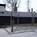 83 Auschwitz