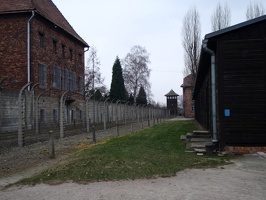 87 Auschwitz