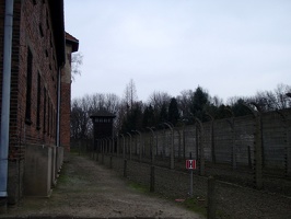 88 Auschwitz