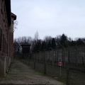88_Auschwitz.jpg