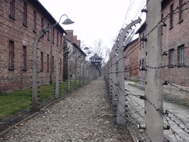 91 Auschwitz