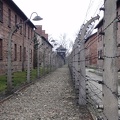91_Auschwitz.jpg