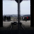 95_Auschwitz.jpg