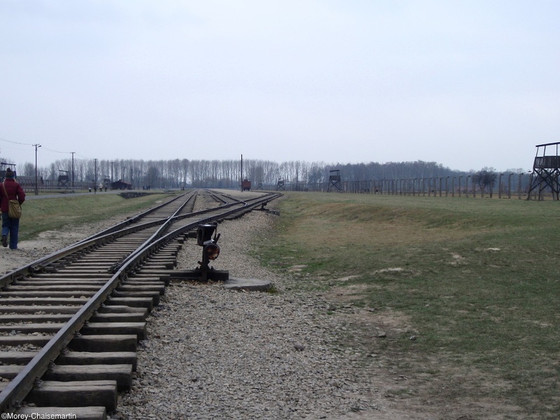 96_Auschwitz.jpg