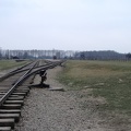 96_Auschwitz.jpg