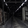 98_Auschwitz.jpg