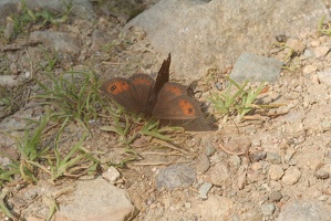 Belledonne Jul2007 0002