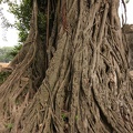 954_Vietnam_08-05-2010.jpg